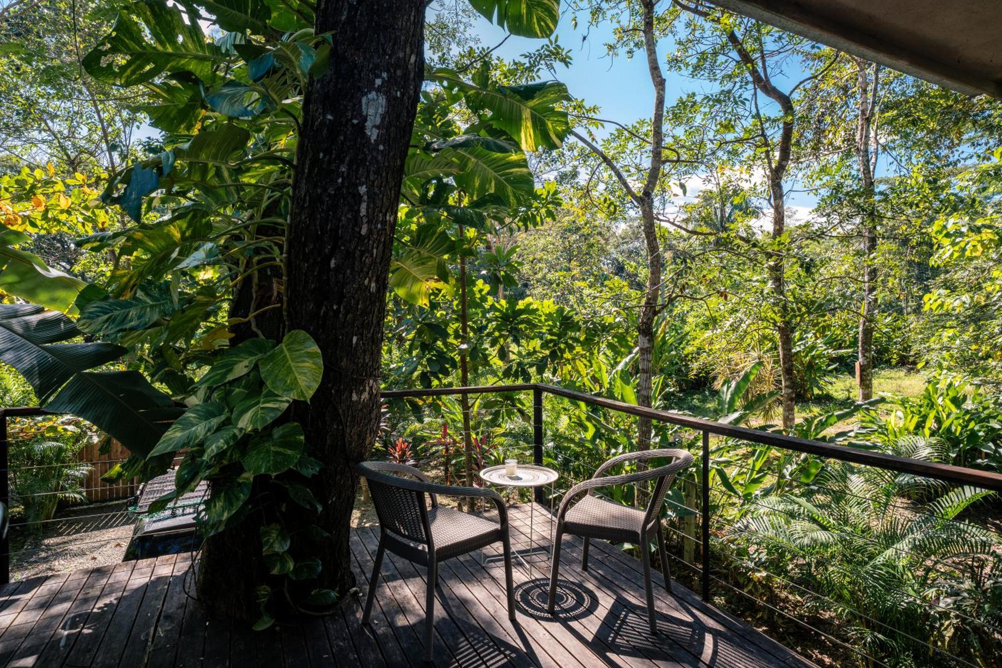 Feeling Trees Jungle Lodge Cabuya  외부 사진
