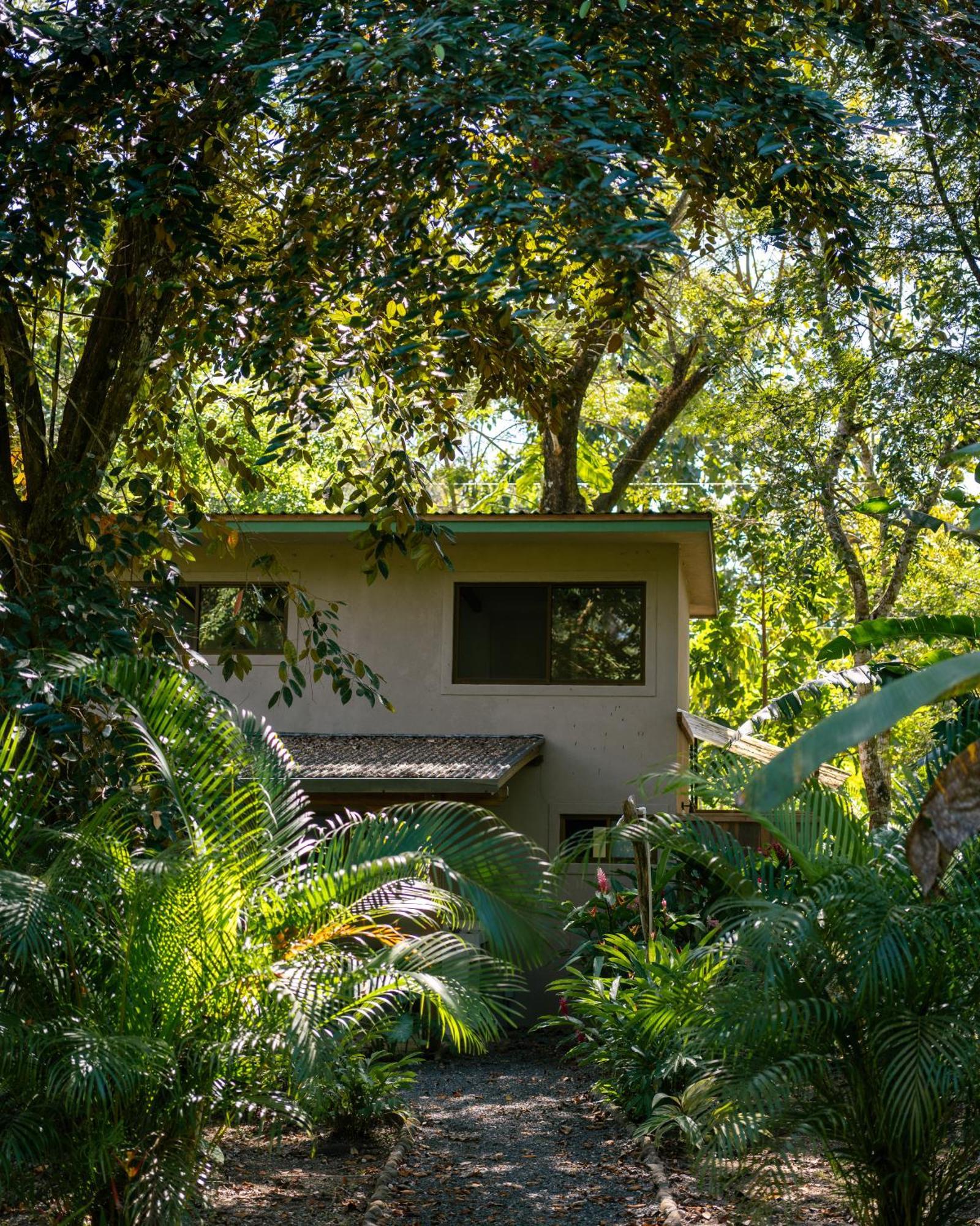 Feeling Trees Jungle Lodge Cabuya  외부 사진