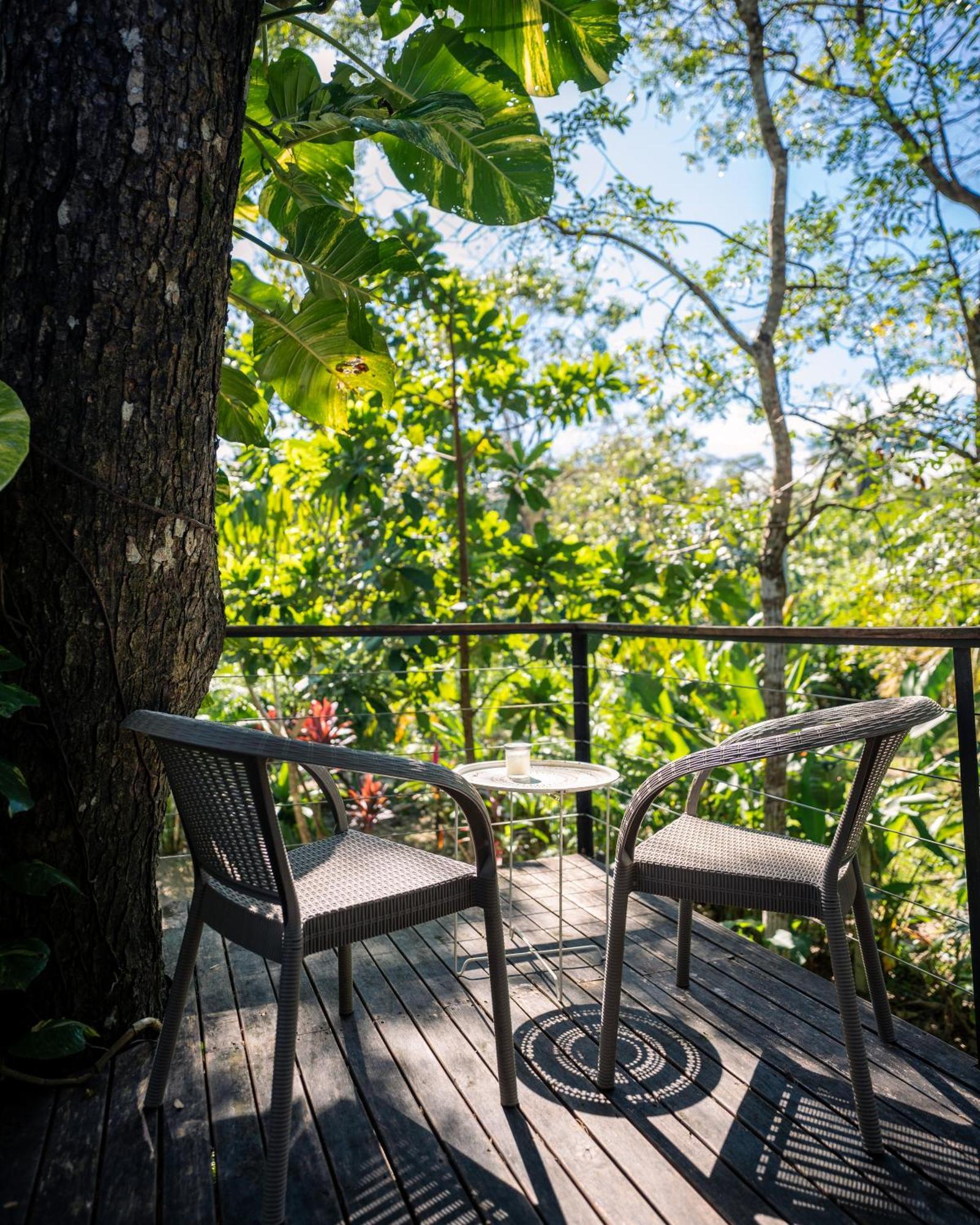 Feeling Trees Jungle Lodge Cabuya  외부 사진