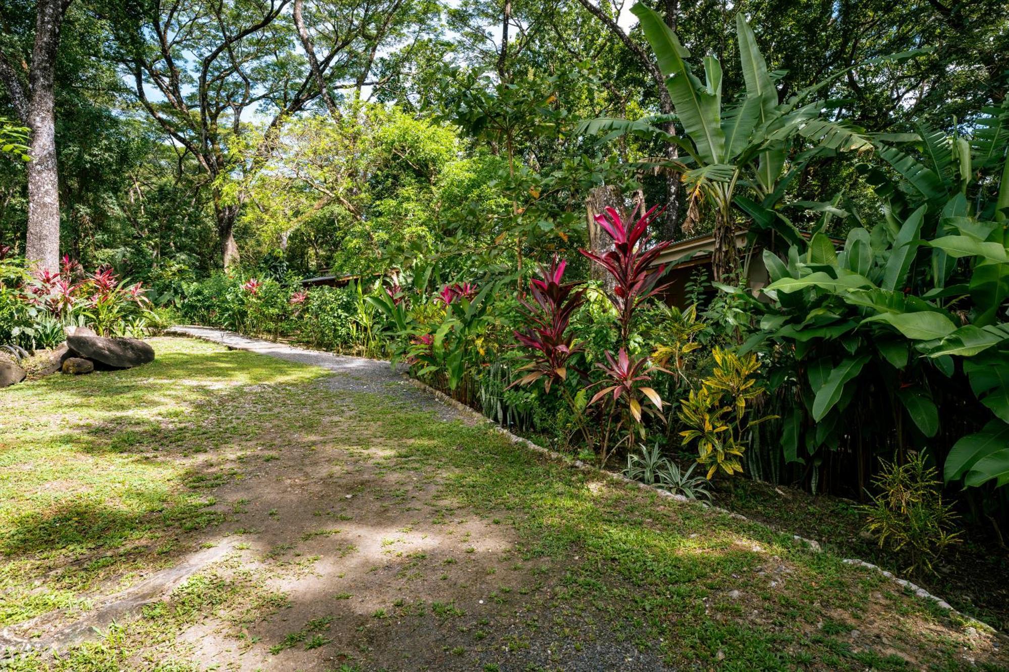 Feeling Trees Jungle Lodge Cabuya  외부 사진
