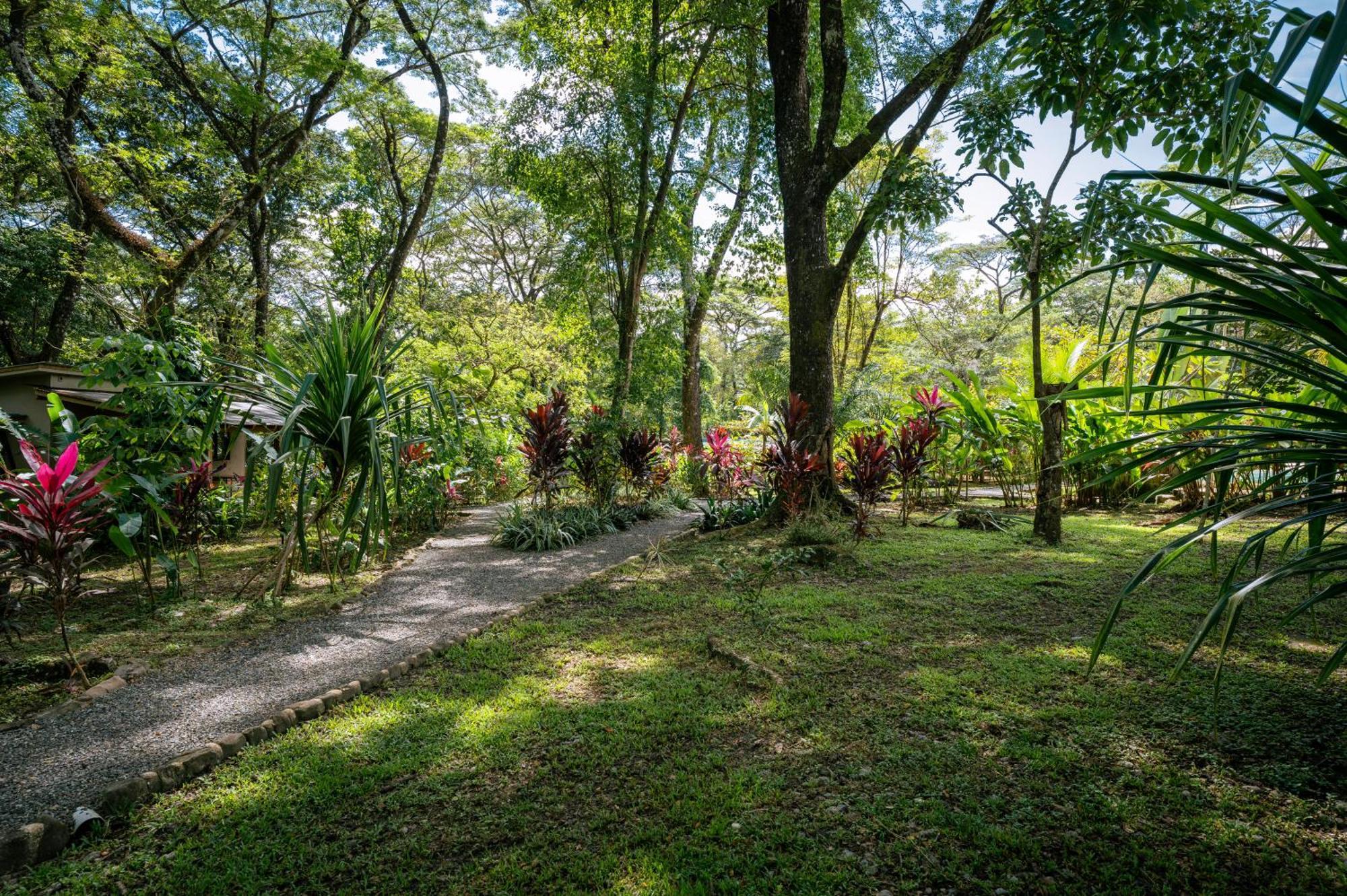 Feeling Trees Jungle Lodge Cabuya  외부 사진