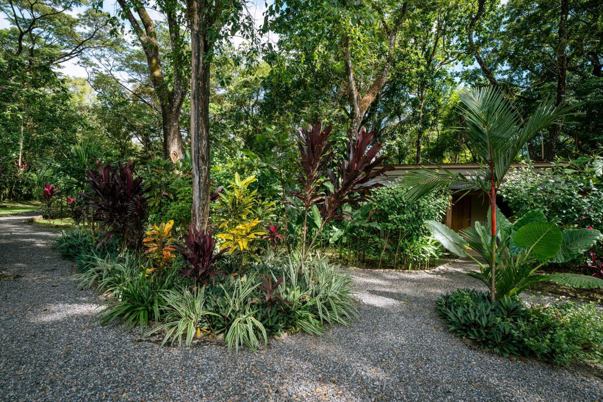 Feeling Trees Jungle Lodge Cabuya  외부 사진