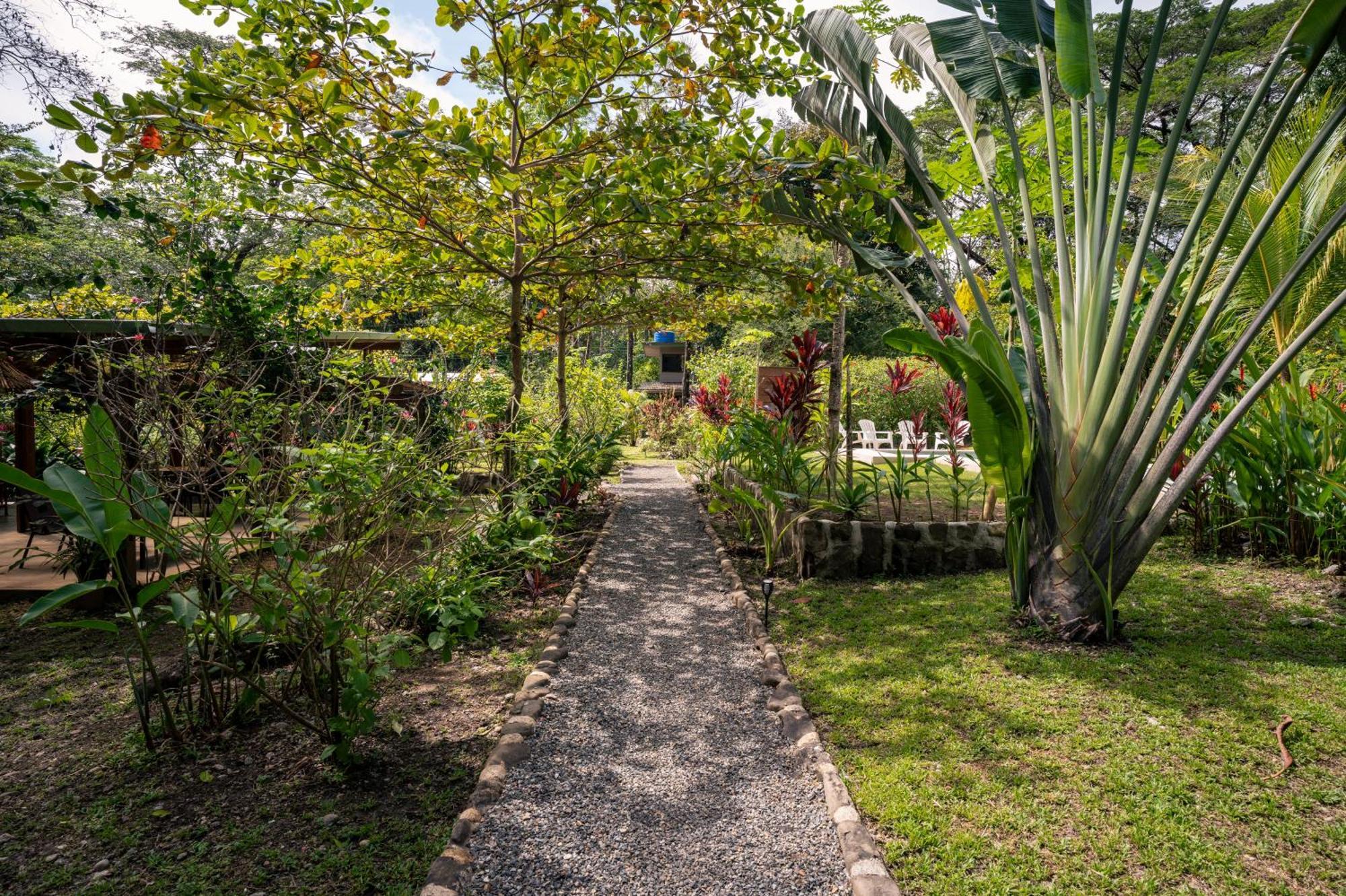 Feeling Trees Jungle Lodge Cabuya  외부 사진