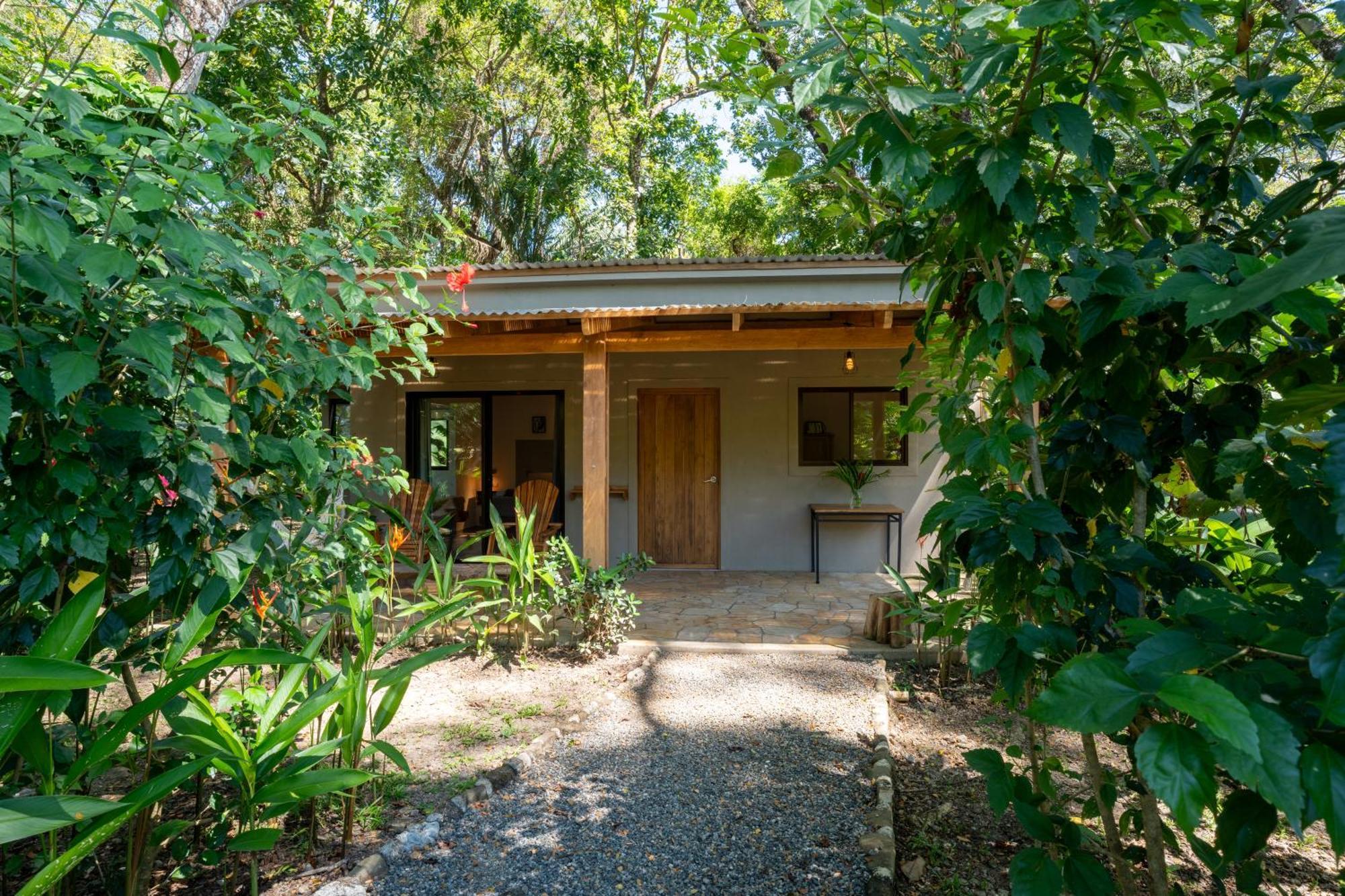 Feeling Trees Jungle Lodge Cabuya  외부 사진