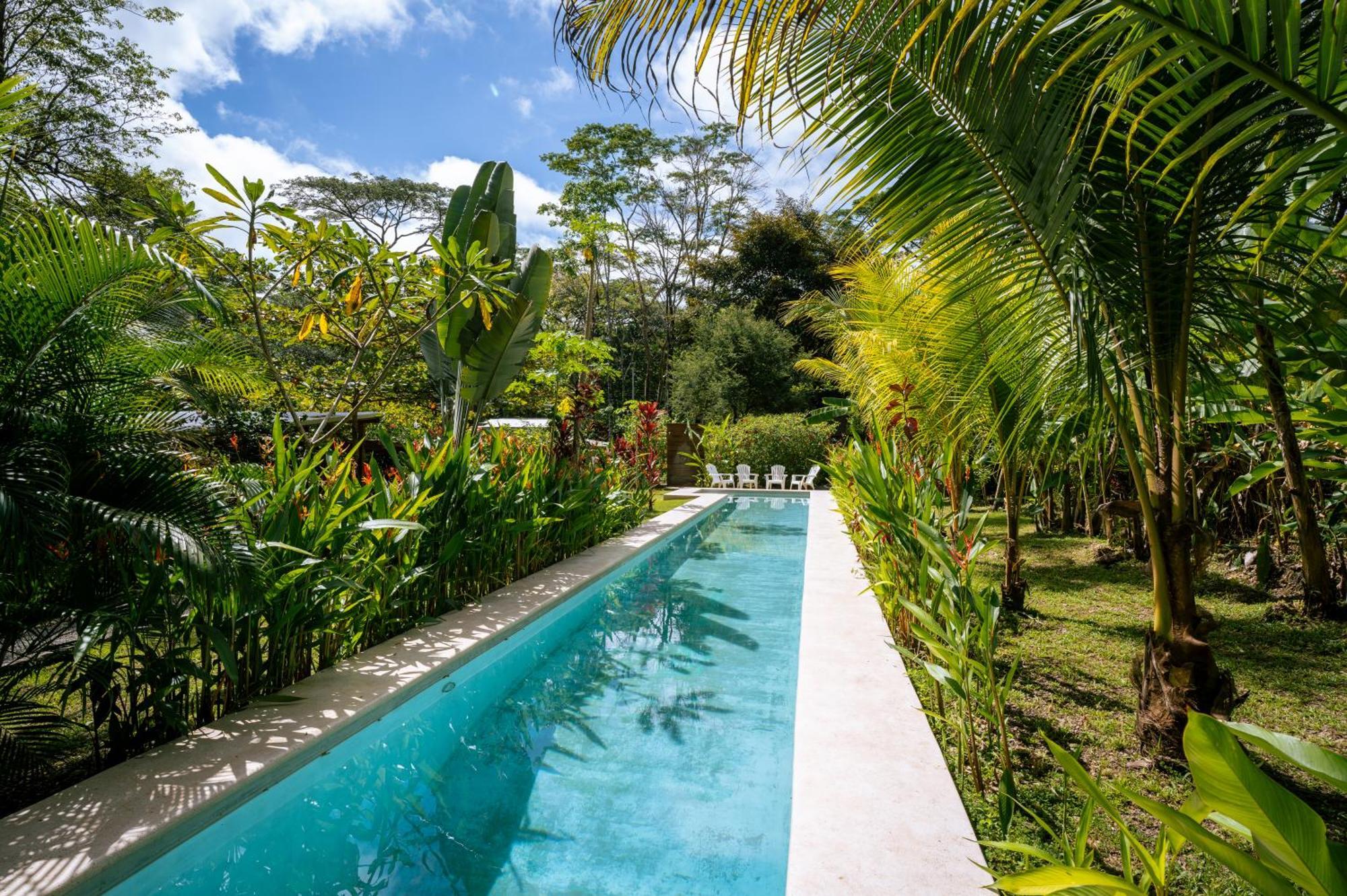 Feeling Trees Jungle Lodge Cabuya  외부 사진