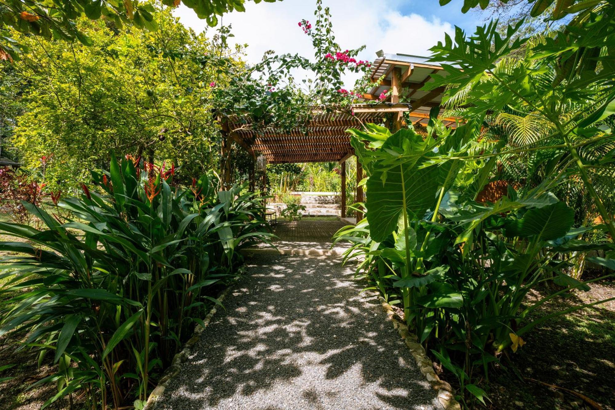 Feeling Trees Jungle Lodge Cabuya  외부 사진