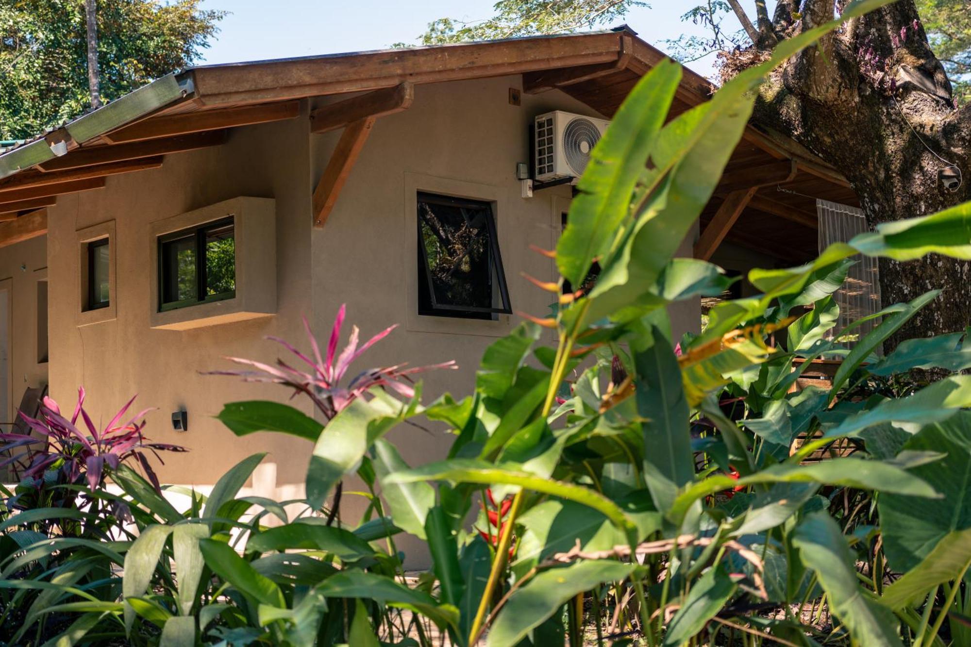 Feeling Trees Jungle Lodge Cabuya  외부 사진