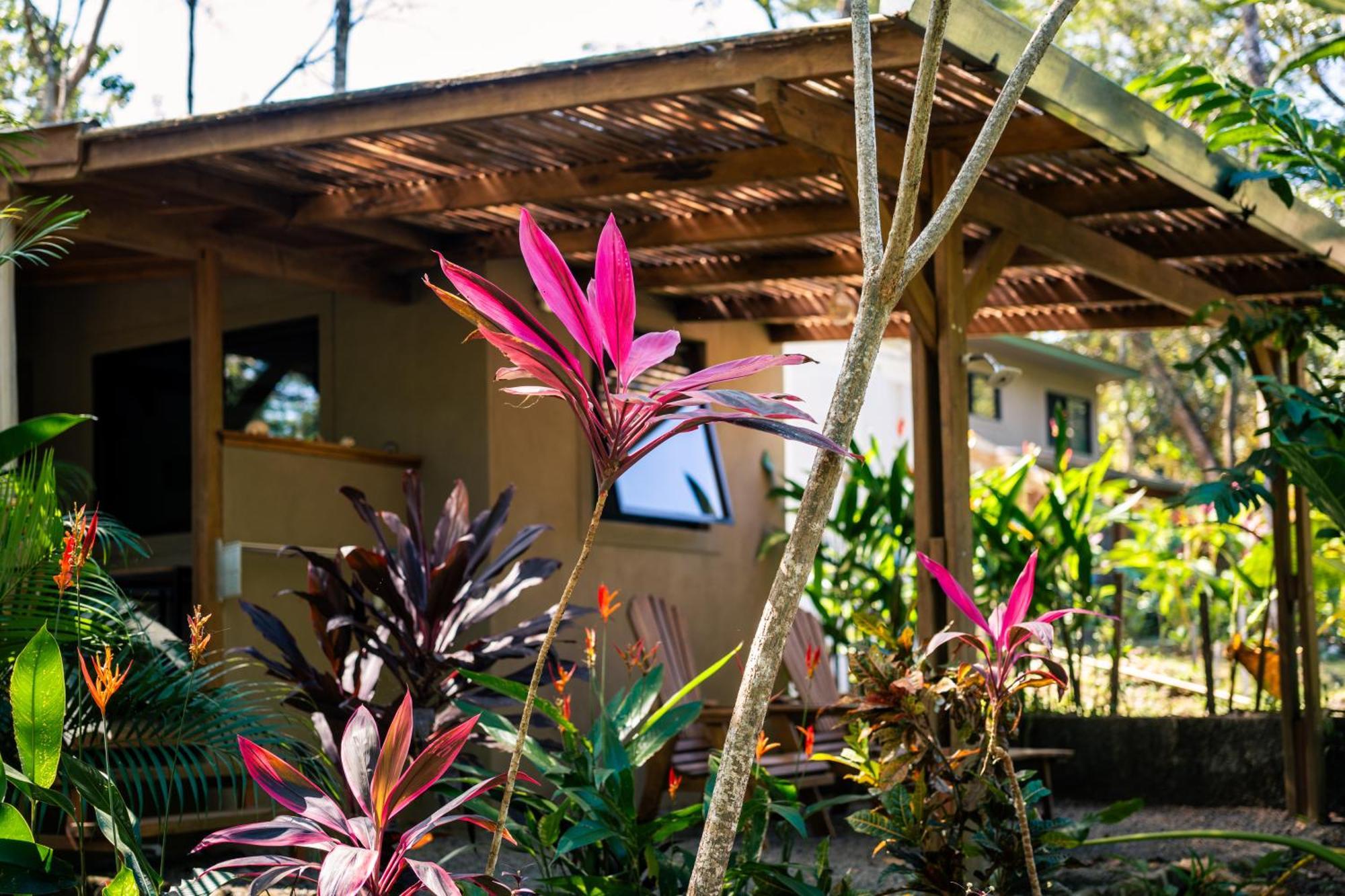 Feeling Trees Jungle Lodge Cabuya  외부 사진