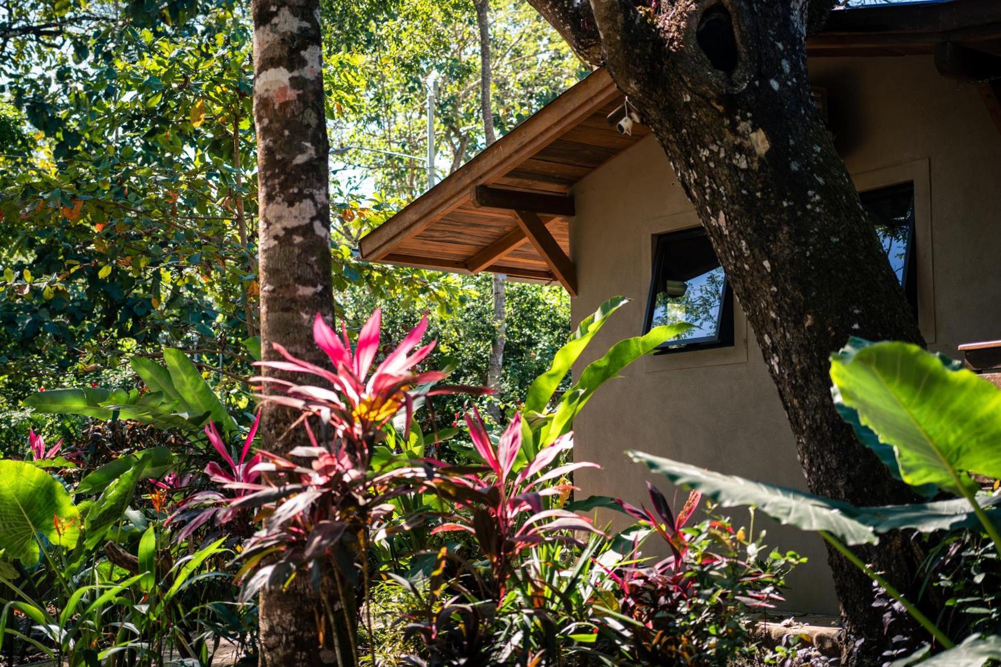 Feeling Trees Jungle Lodge Cabuya  외부 사진