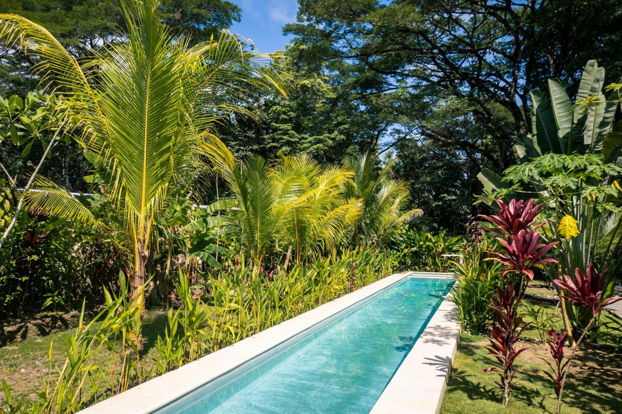 Feeling Trees Jungle Lodge Cabuya  외부 사진